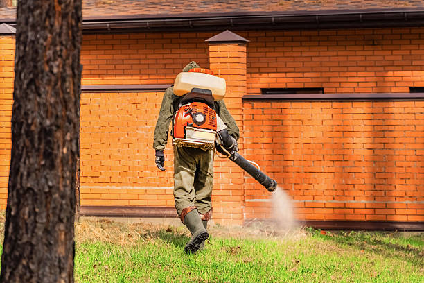 Bed Bug Clearance Verification and Documentation in Bonadelle Ranchos